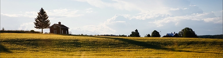 Sunset on a Hill
